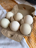 Fresh Duck Eggs 1/2 Dozen—Farm pickup only